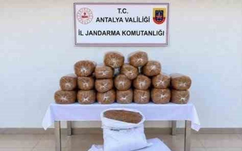 Kaçak tütün operasyonlarında 408 kilogram kıyılmış tütün ele geçirildi
