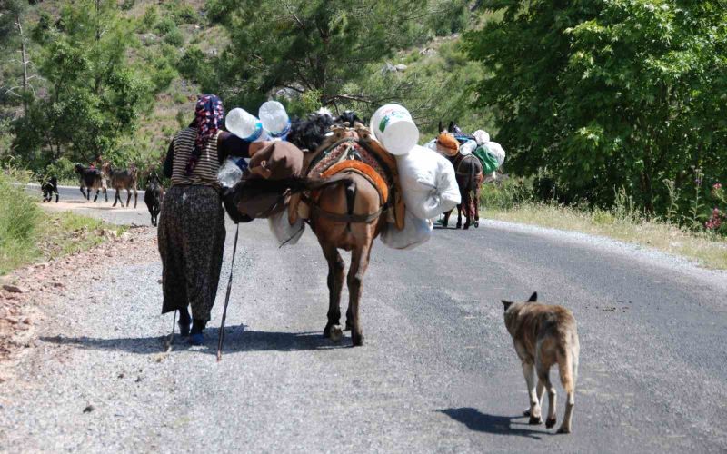 Yörüklerin Toroslar’dan sahile dönüş yolculuğu başladı

