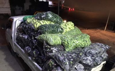 Elde kalan sebzeler bağışlanarak, çöpe atılmaktan kurtarılıyor
