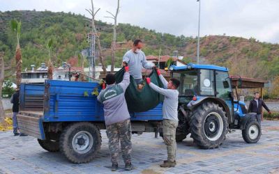 Kemer’de bahçe atıkları toplama programı başladı
