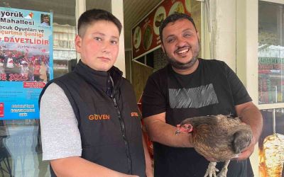 Tavuğun cesareti dönerciyi şaşkına çevirdi: Yumurtlamak için tavuk dönerciyi seçti
