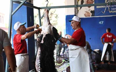 Antalya Büyükşehir Belediyesi’nden hijyenik ortamda ücretsiz kurban kesim hizmeti

