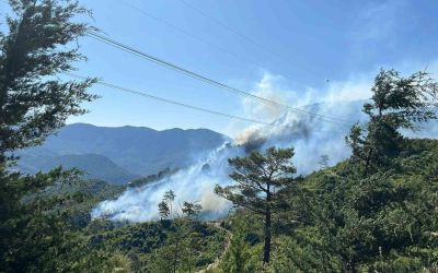 Antalya’da 2 ilçede orman yangını
