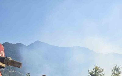 Antalya’daki 2 orman yangınından 1’i kontrol altına alındı
