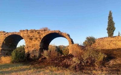 Tarihi Aspendos Su Kemerleri yakınında çıkan yangın korkuttu
