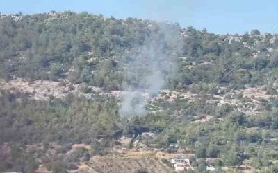 Gazipaşa’da ormanlık alanda başlayan yangın büyümeden söndürüldü
