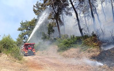 Manavgat’ta ormanlık alan yangınında 3 hektar alan zarar gördü
