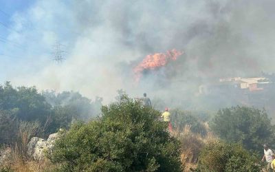 Antalya’da yerleşim alanına yakın ağaçlık alanda yangın
