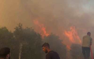 Mahallede çıkan yangın paniğe neden oldu: Vatandaşlar ve itfaiye alevlere karşı mücadele etti
