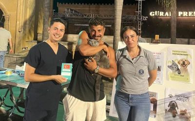 İki konserde 15 evcil hayvan sahiplendirildi
