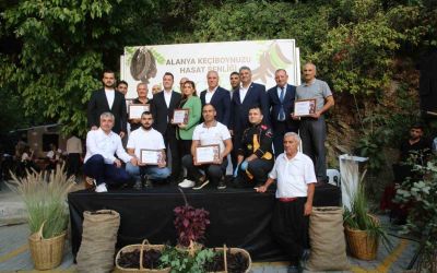 Alanya’da keçiboynuzu hasat şenliği ve coğrafi tescil belge töreni
