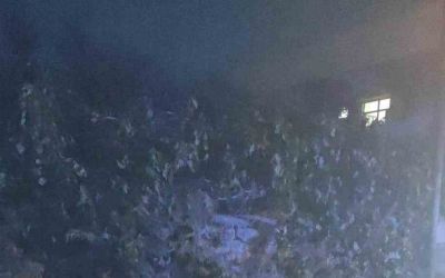 Manavgat’ta devrilen motosikletin 11 yaşındaki sürücüsü yaralandı

