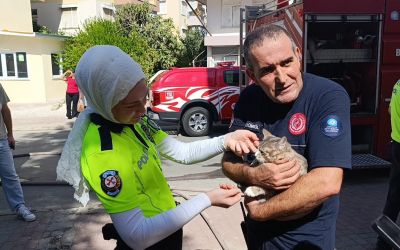 Yangında telef olduğu sanılan kedi dolabın arkasında saklanırken bulundu
