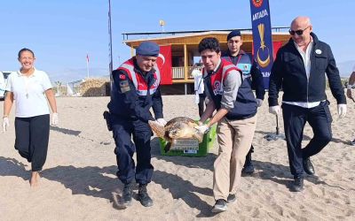 Tedavisi tamamlanan caretta caretta denizin maviliğine kulaç açtı
