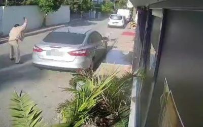 Köpeği silahla vuran emekli polis için 4 yıla kadar hapis talebi
