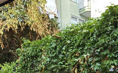 Alanya’da cami avlusundaki bankta bir kişi ölü bulundu
