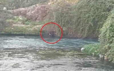 Düden Çayı’na düşen şahsı itfaiye ekipleri kurtardı
