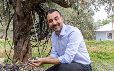 Manavgat Zeytin ve Zeytinyağı Festivali’nin ikincisi 8 Kasım’da başlıyor
