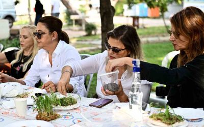 Mikro yeşilliklerle minyatür bahçeler oluşturdular
