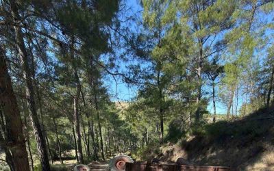 Antalya’da devrilen traktörün altında kalan sürücü hayatını kaybetti
