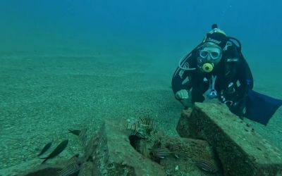 Profesör deniz dibinde taşlardan balıklara yuva yaptı: 12 tür barış içinde yaşıyor
