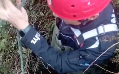 Foseptik çukuruna düşen köpeği itfaiye kurtardı
