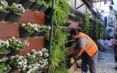 Antalya’da 4 milyon çiçek toprakla buluşuyor
