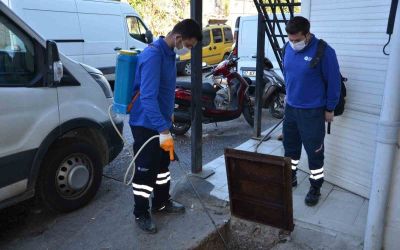Vektörel mücadele çalışmaları devam ediyor
