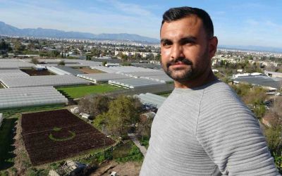 Antalya’da çiftçiler 1,5 dönümlük tarlaya 13 bin marulla Türk bayrağı deseni oluşturdu
