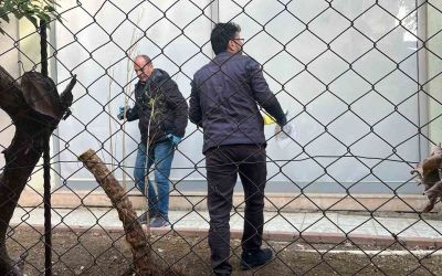Alanya’da alacak verecek meselesi kanlı bitti, 1 yaralı
