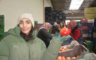 Korkuteli’nden nar ihracatı başladı
