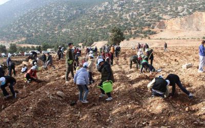 Korkuteli’nde 3 bin fidan toprakla buluştu
