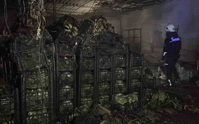 Alanya’da muz sarartma tesisinde yangın: Tonlarca muz zarar gördü
