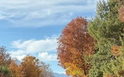 24 yaşındaki karayolları çalışanı evinde ölü bulundu
