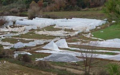 Antalya’daki hortum anı kamerada: Konteynerler savruldu, araç gitmekte zorlandı
