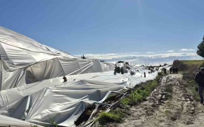 Manavgat’ta hortumdan zarar gören bölgelerde hasar tespit çalışması yapıldı
