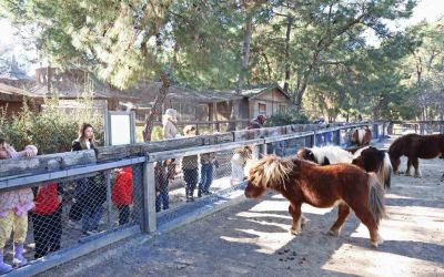 Doğal Yaşam Parkı’nda çocuklara hayvan ve doğa sevgisi aşılanıyor
