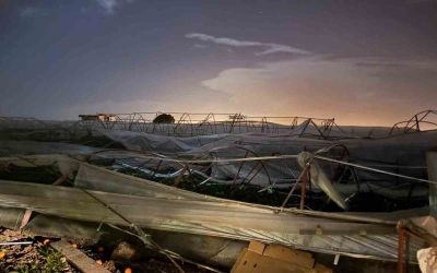 Antalya’da hortum seralara zarar verdi
