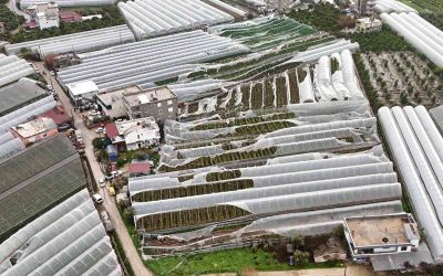 Finike’de hortumdan zarar gören seralarda hasar tespiti başladı
