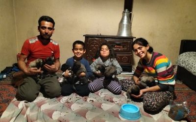 Fırtına sonrası devrilen ağaçların altında kalarak telef olan anne köpeğin yavrularına sahip çıktılar
