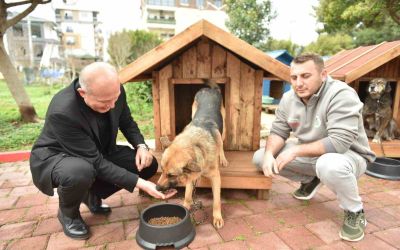 Hayırseverlerden 8 adet köpek ve 50 adet kedi kulübesi
