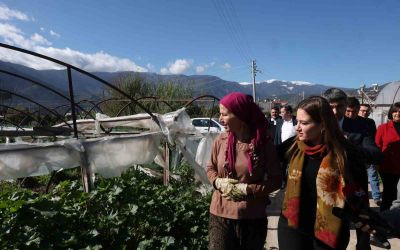 Büyükşehirden 121 çiftçiye 212 bin 400 metrekare sera naylonu desteği
