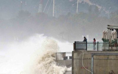 Dev dalgalar sahili dövdü: Martılar balık, define avcıları kıymetli eşya aradı
