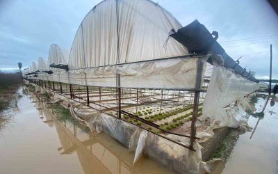 Antalya’da sağanak yağmur Aksu’da su baskınlarına sebep oldu
