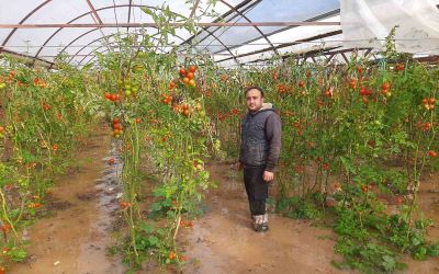 Kumluca’da hortum seraları parçaladı
