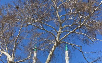 Serik’in nüfusu 147 bin 62’ye yükseldi
