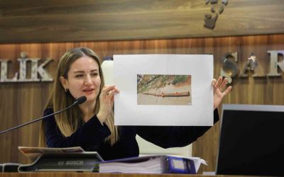 Başkan Vekili Özdemir: 