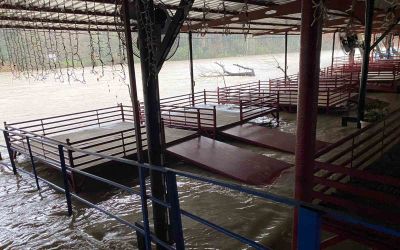 Sağanak sebebiyle Köprüçay taştı, iş yerleri ve araziler sular altında kaldı
