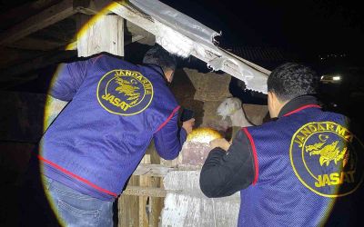 Jandarma kayıp 5 koyun için 3 iş yeri ve 9 meskene ait toplam 24 saatlik güvenlik kamerasını saniye saniye inceledi
