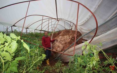 Antalya’da heyelan evlerin duvarlarını çatlattı, seralara dev kayalar düştü

